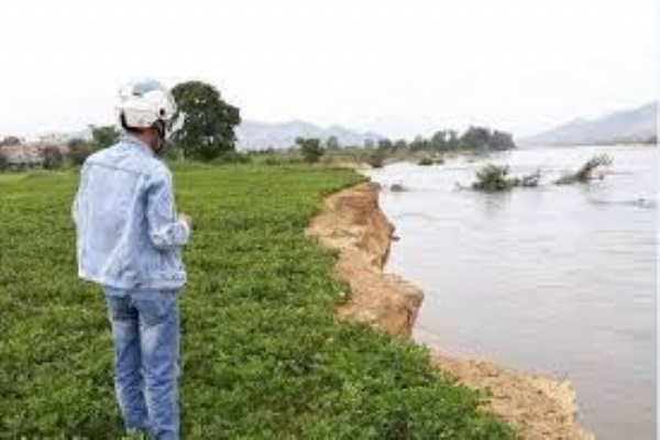 Tôi lo mất đất vì hợp đồng ghi giá mua thấp hơn thực tế